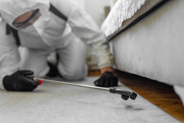 Professional Ant Control technician working in Rosanky, TX
